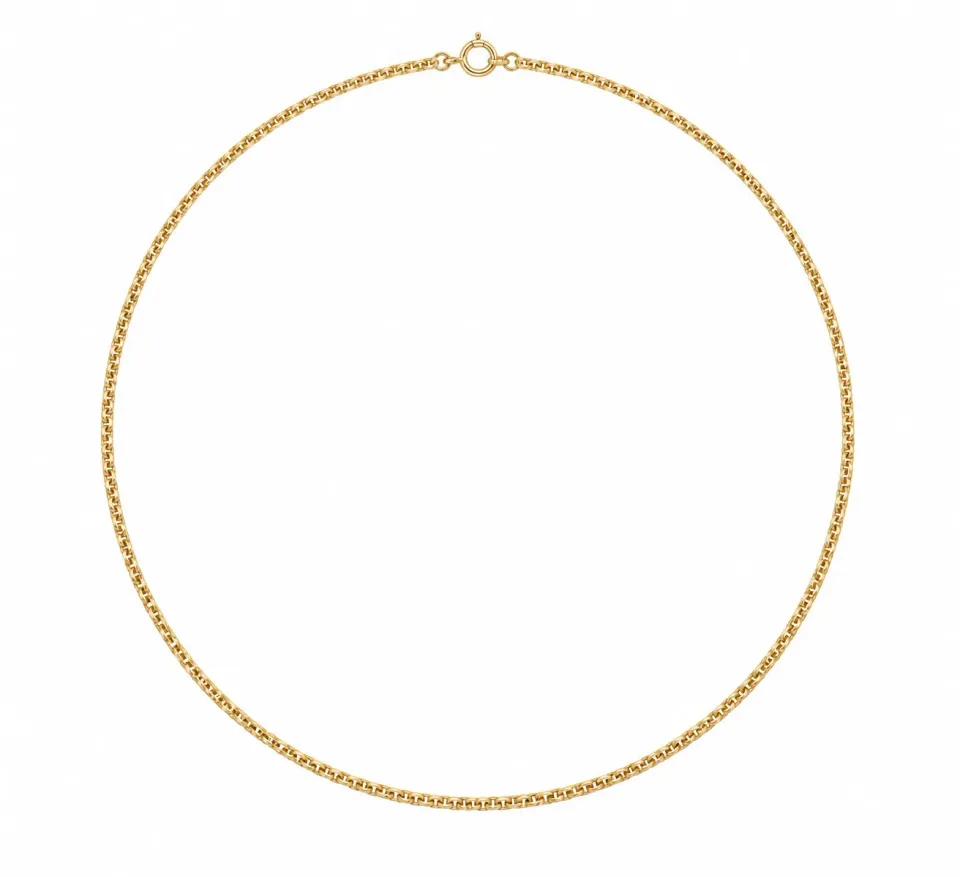 Wos River Chain halskæde guld S 55 cm