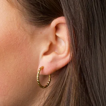 TIMI OF SWEDEN Torun hoop øreringe guld 20 mm
