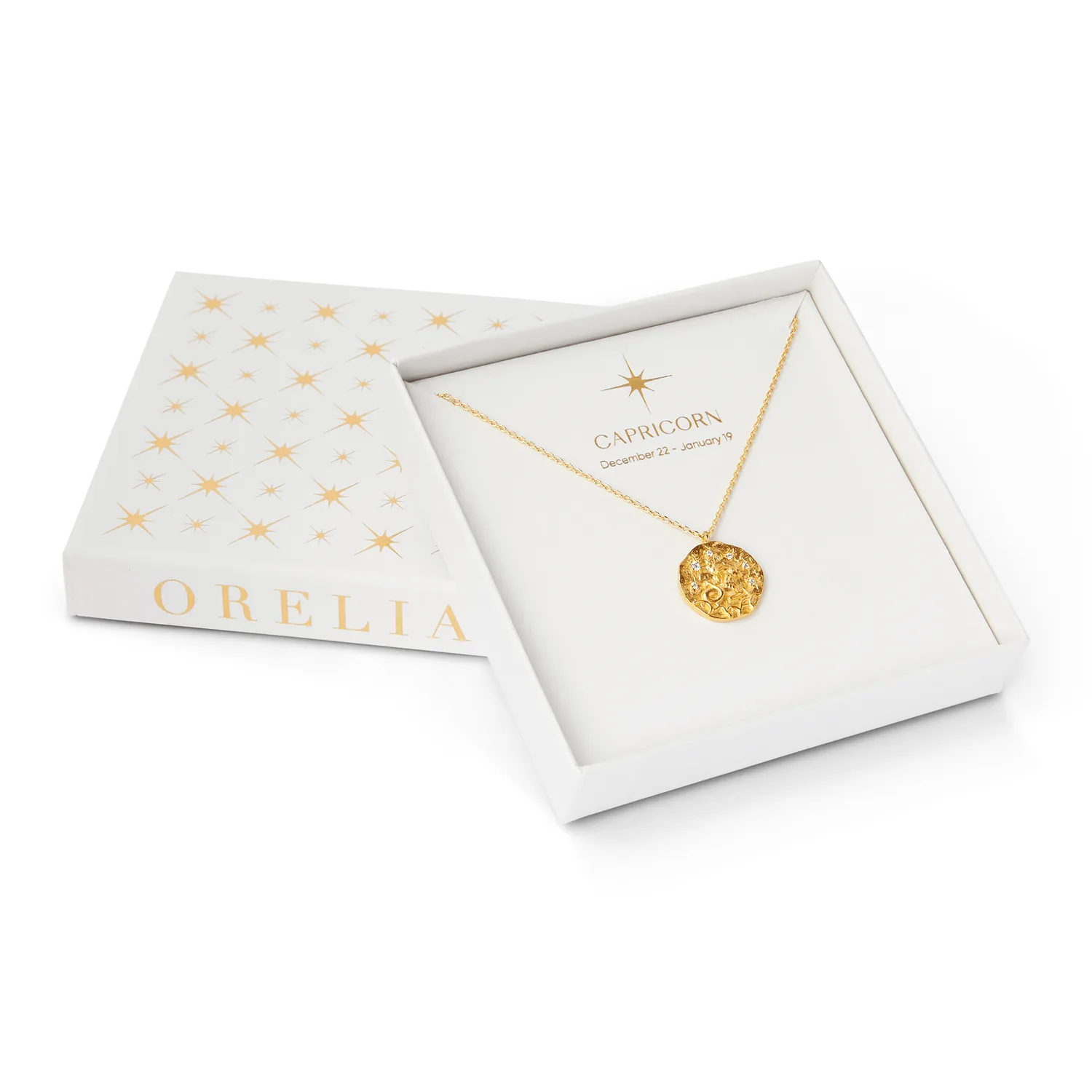 Orelia Zodiac Capricorn halskæde guld stjernetegn