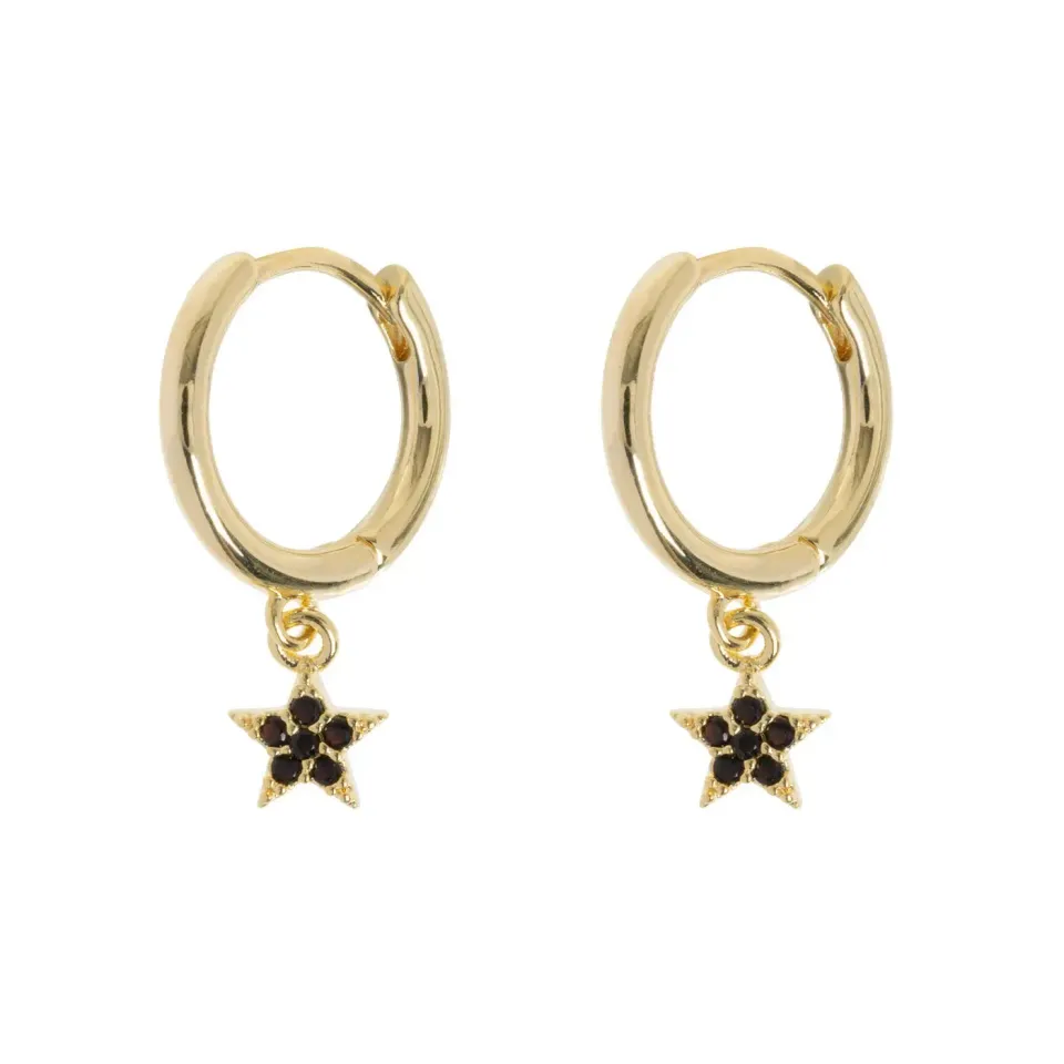 TIMI OF SWEDEN Elvira Crystal Star Hoop øreringe forgyldt