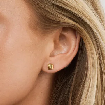 TIMI OF SWEDEN Ane stud øreringe musling 7 mm vandtætte