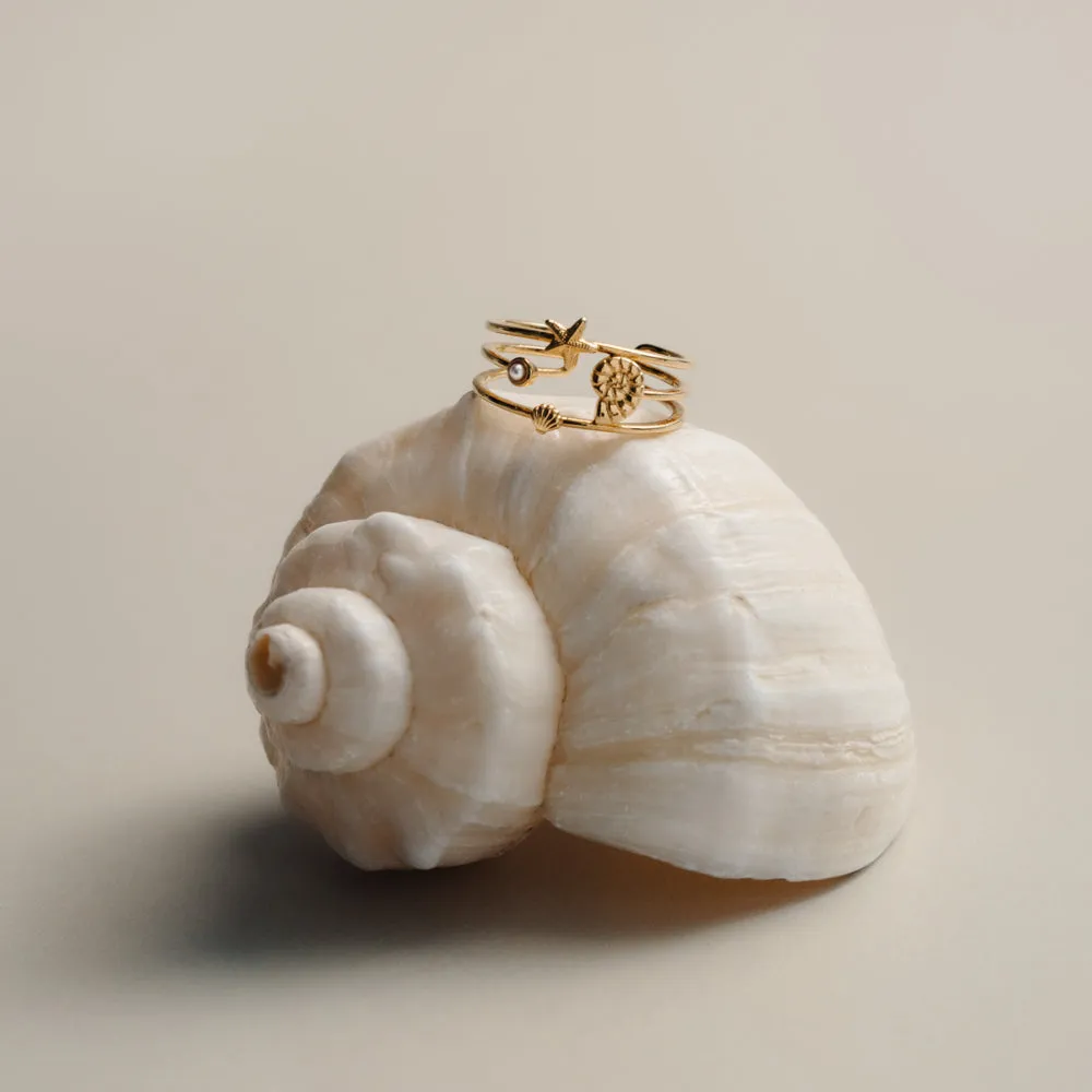 Orelia Coastal Open Caged ring guld justerbar