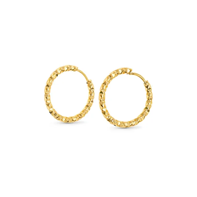 TIMI OF SWEDEN Torun hoop øreringe 20 mm guld rustfrit stål