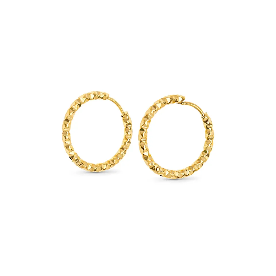 TIMI OF SWEDEN Torun hoop øreringe 20 mm guld rustfrit stål