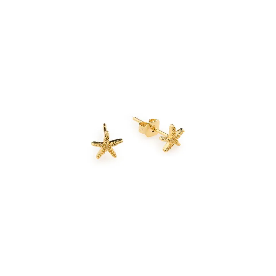 TIMI OF SWEDEN Solana Mini Starfish øreringe forgyldt