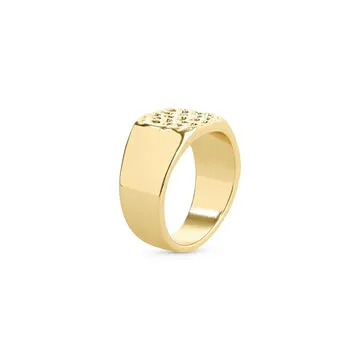 TIMI OF SWEDEN Blythe signetring stål vandtæt 18 mm
