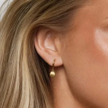 TIMI OF SWEDEN Ane øreringe hoops musling 9,5 mm guld