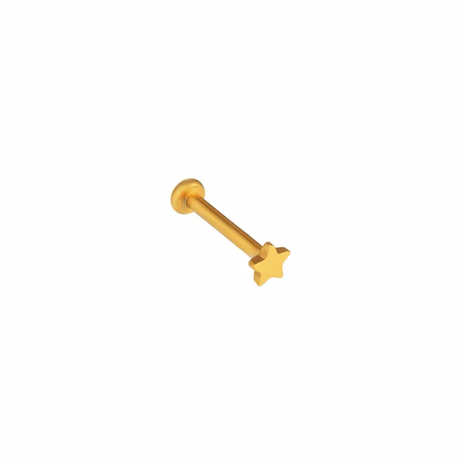 Orelia Metal Star Labret piercing guld stjerne
