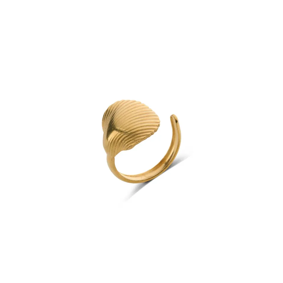 TIMI OF SWEDEN Ane seashell open ring guld rustfrit stål