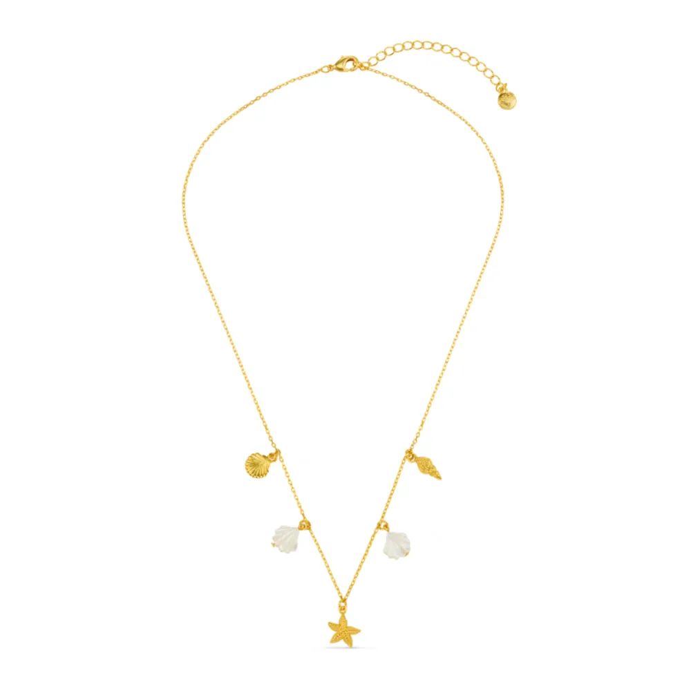 Orelia Mixed Shell Starfish Charm halskæde guld musling