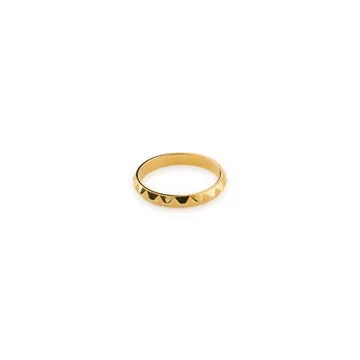 TIMI OF SWEDEN Vide Spike ring 3 mm vandtæt stål