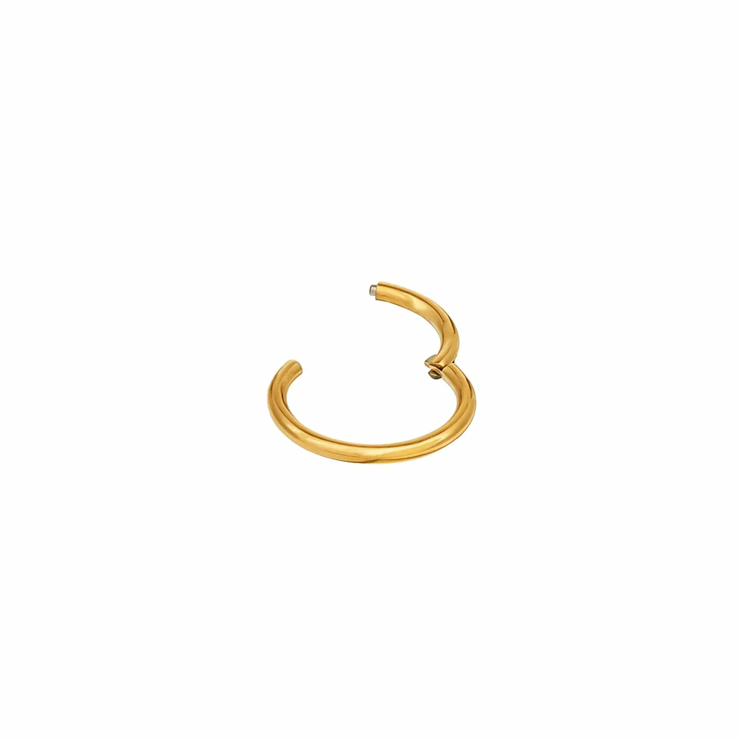 Orelia Conch Clicker Hoop øreringe guld 10 mm