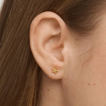 TIMI OF SWEDEN Solana Mini Starfish øreringe forgyldt
