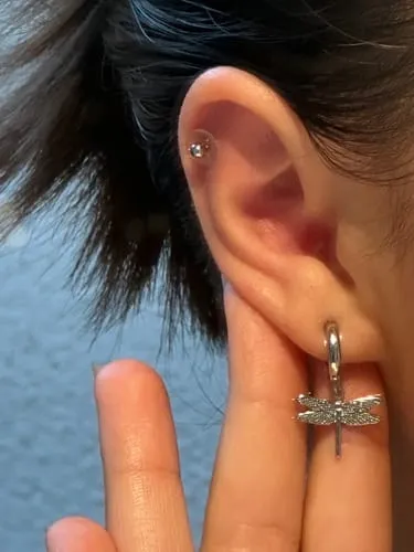TIMI OF SWEDEN Dragonfly Small hoop øreringe forgyldt