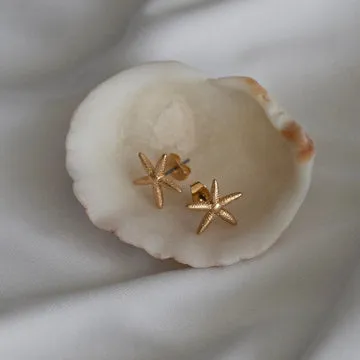 TIMI OF SWEDEN Starfish stud øreringe søstjerne