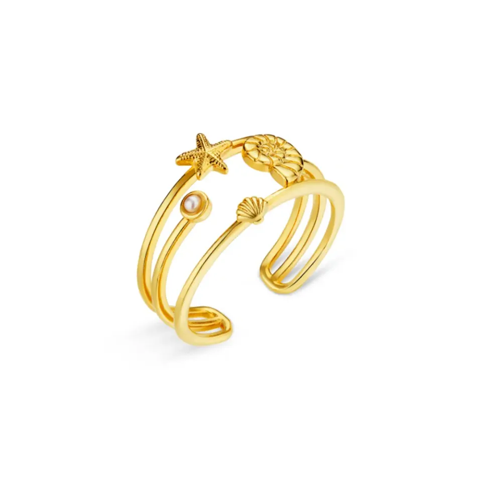 Orelia Coastal Open Caged ring guld justerbar
