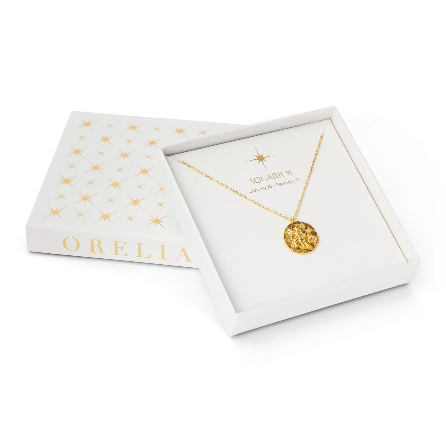 Orelia Aquarius Zodiac halskæde guld